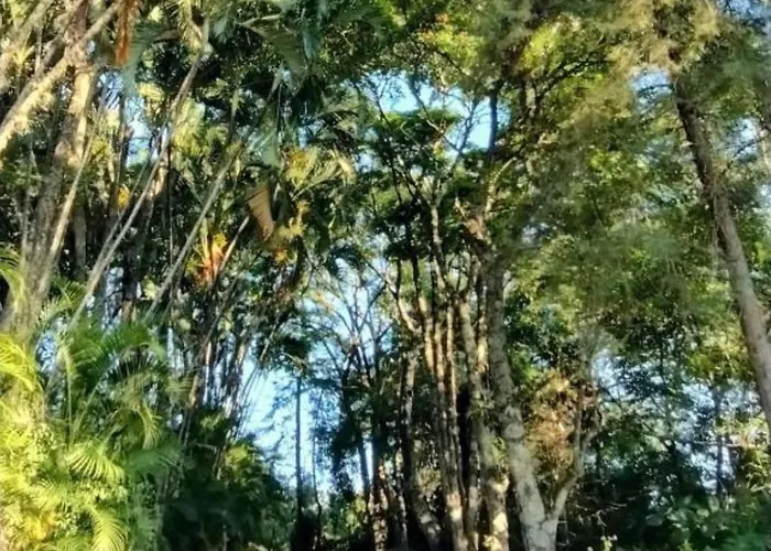 Campo dos Sonhos