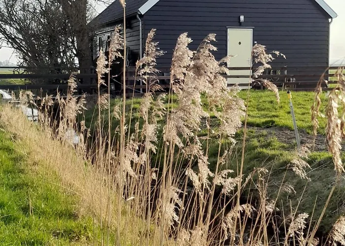 City Farmers Lodge, A Guesthouse With A Skyline View In Rural Amsterdam