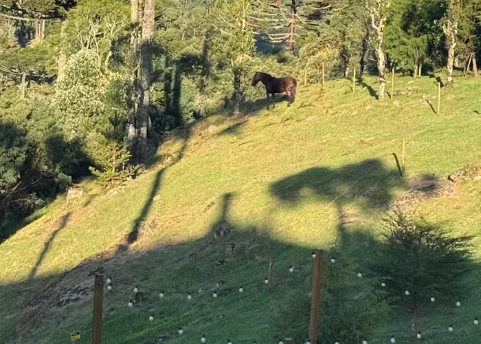 Sion Vivendas Da Serra