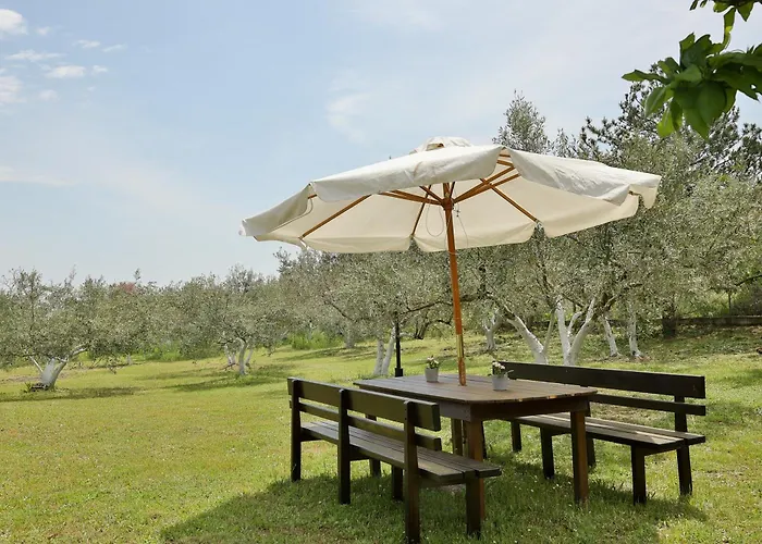 Olympplace Olive House-Ground Floor