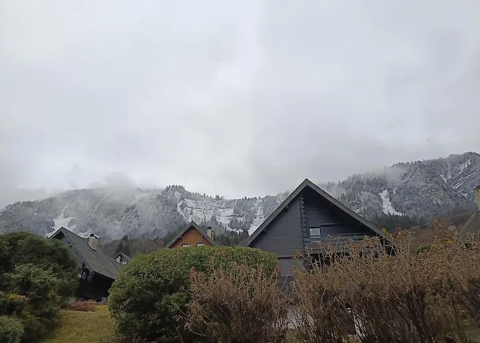 Chalet Au Coeur De La Station