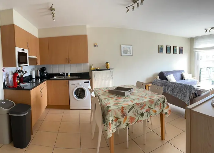 Appartement Pablo met garagebox 50m van zee