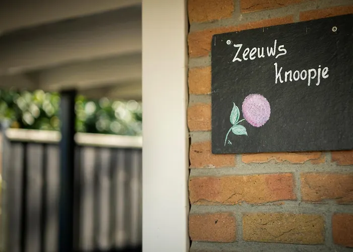 Studio ZEEUWS KNOOPJE