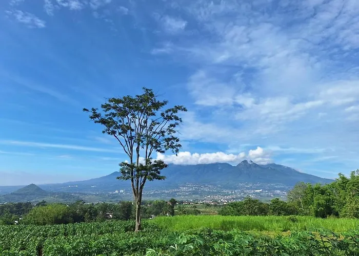 Casadena Malang F21