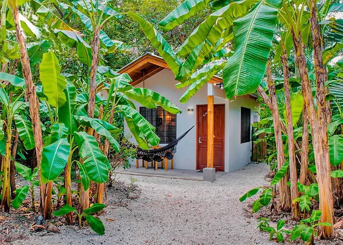 Casa Bonita - 5Br With Pool Walk To Beach!