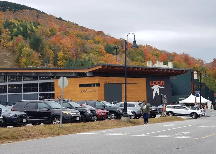 Spacious Private Home In White Mountains-Loon-Owl