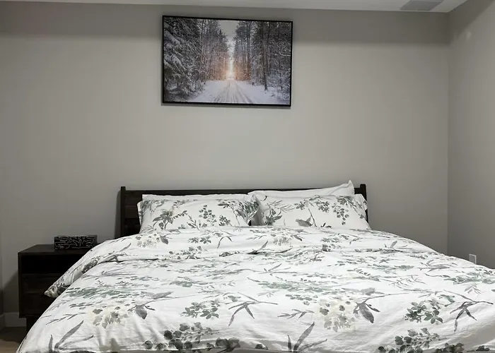 Evelyn'S Manor
