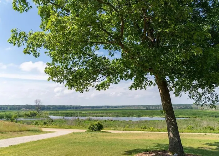 Secluded & Quiet On The Beautiful Kalamazoo River - Saugatuck-Douglas-Fennville
