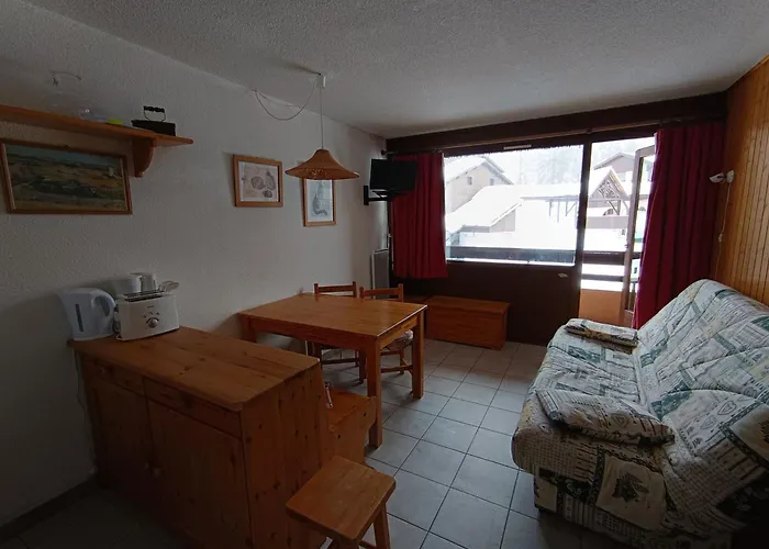 Grand Studio Ski Aux Pieds, Lumineux Et Animaux Acceptes