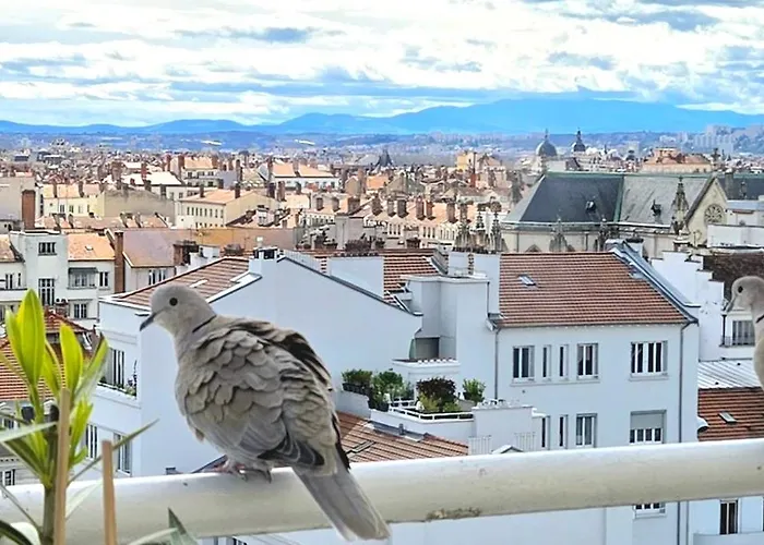 Plein Sud Climatise Terrasse Garage Netflix