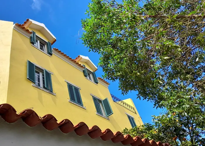 Casa 7