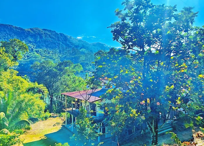 Sun City Family Inn