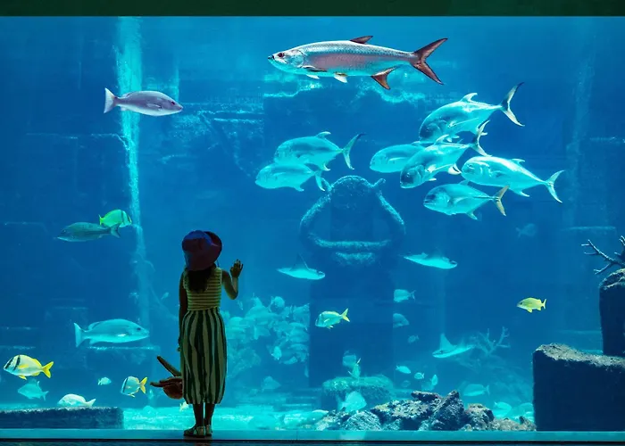 The Royal At Atlantis