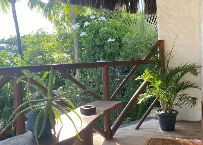 Casa Palmeira