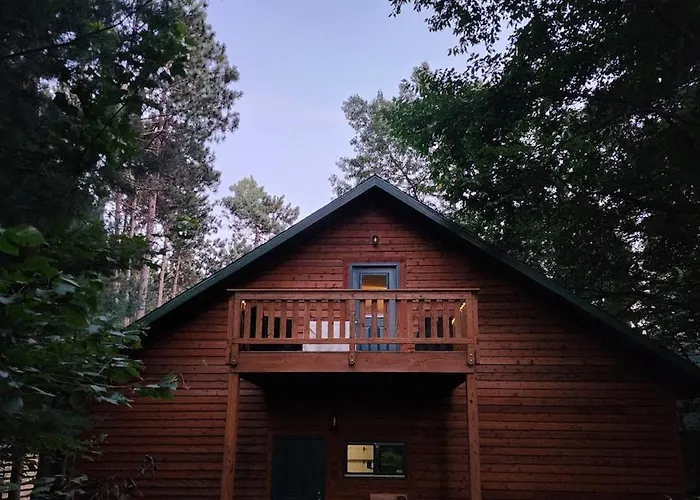 Loft In The Pines