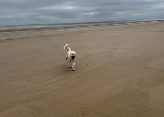 K44 Mablethorpe Chalet Park- Dog Friendly - Fast Wifi