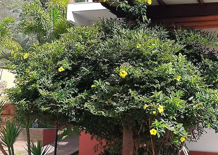 Hospedaria Flor do Trovão