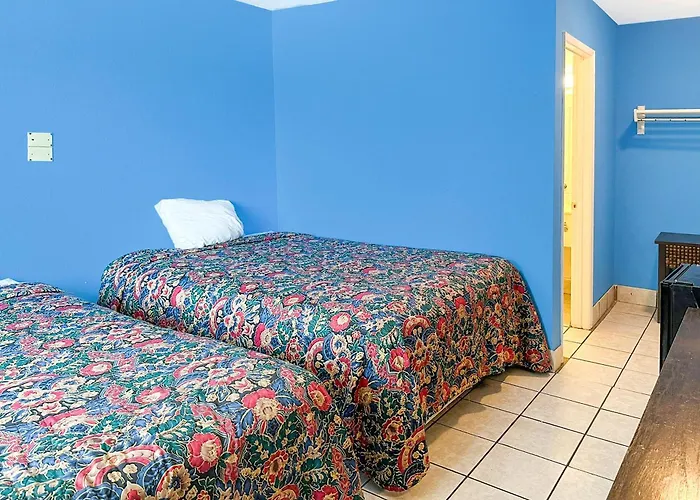 Luxury Inn By Oyo Albany