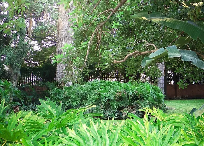 Phomola Guesthouse