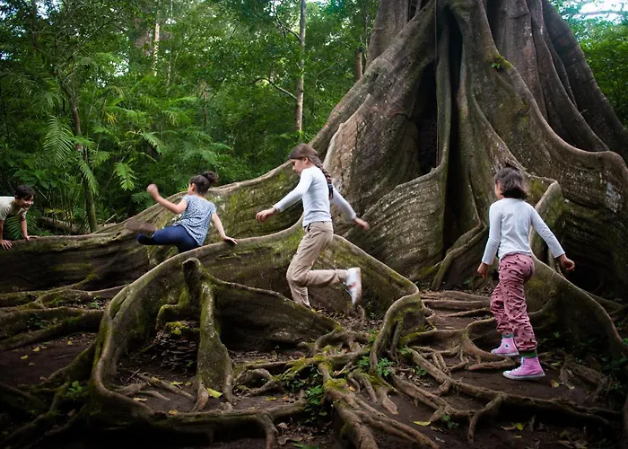 Buena Vista Del Rincon Eco Adventure Park Hotel & Spa