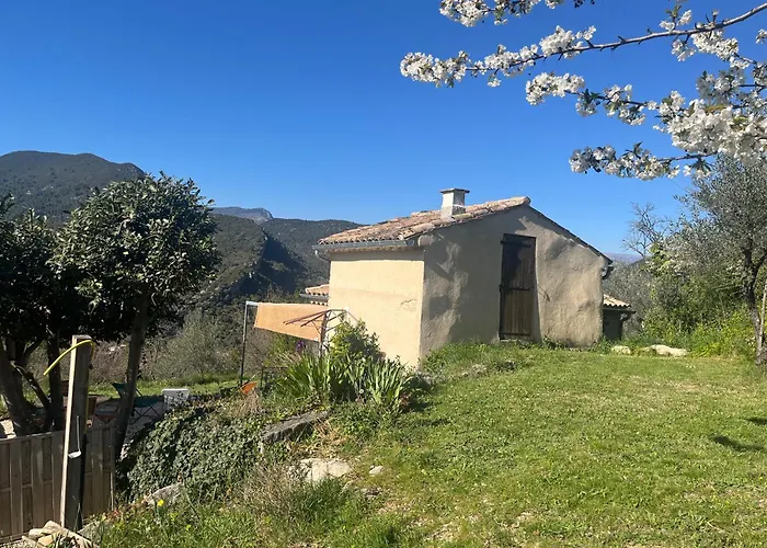 Cabanon Entoure De Montagnes Et D'Oliviers
