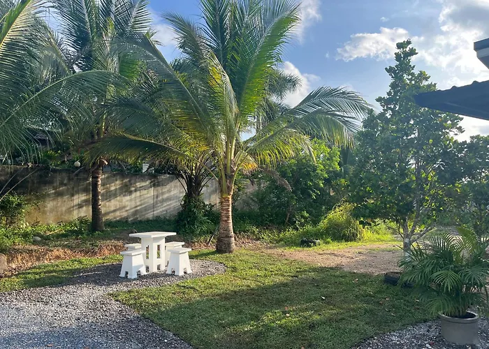 Palm Tree Hideaway