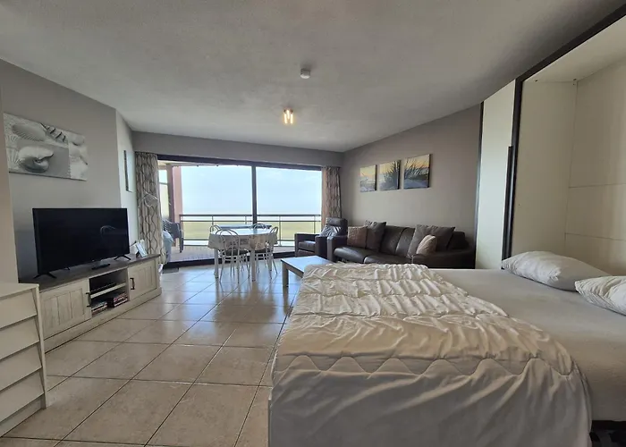 Large Beachstudio Seaview Blankenberge Near Brugge