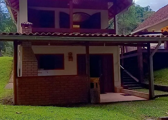 Palmeira Azul