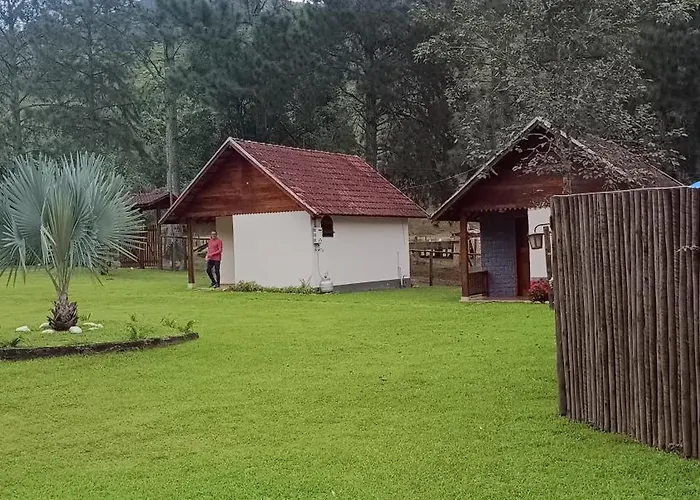 Palmeira Azul