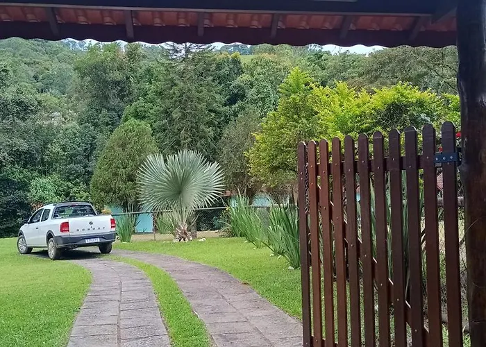 Palmeira Azul