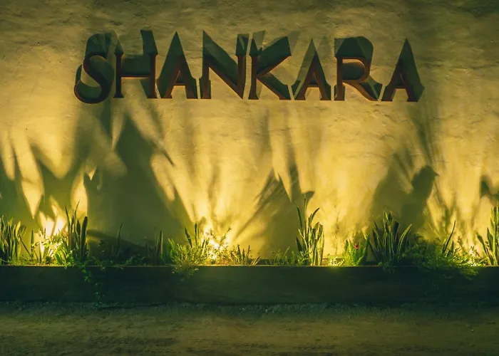 Shankara Holbox