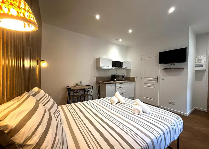 Appartements Cosy & Chic- Hyper Centre Agen