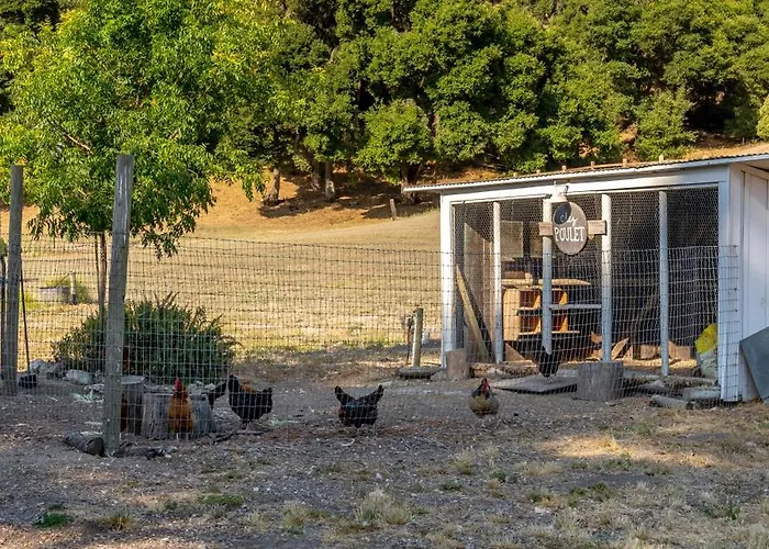Le Coop At Farm Blanc Et Rouge