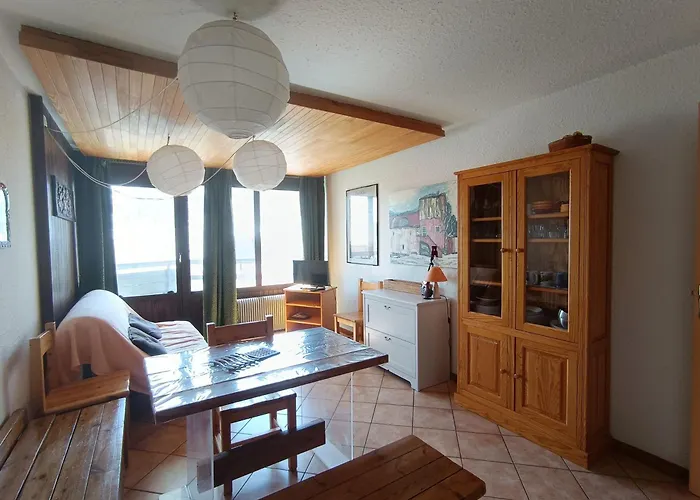 Appartement Confort, Proche Pistes Et Commerces, Animaux Acceptes