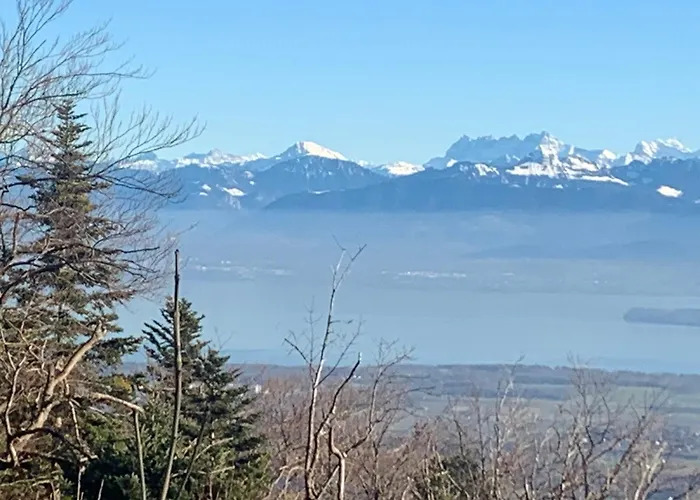 Studio Reposant A La Montagne
