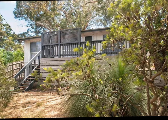 Beach Shack Amongst The Gum Trees