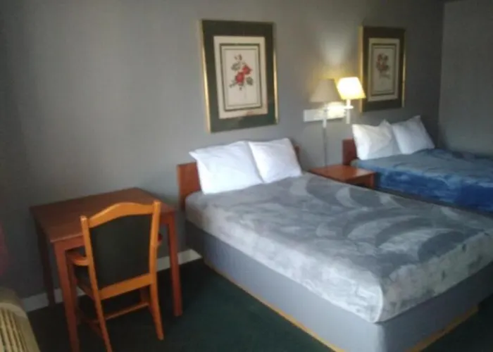 King Bed Hotel Studio 101