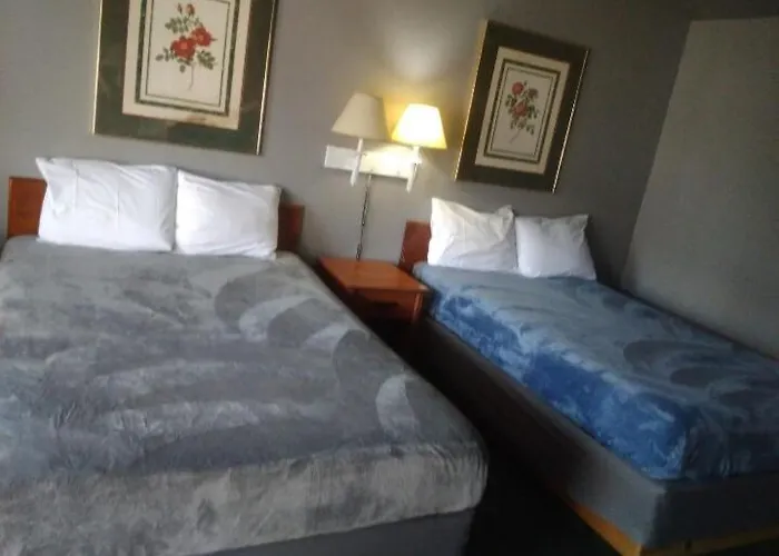 King Bed Hotel Studio 209