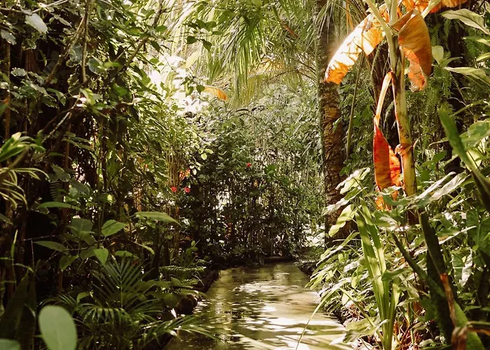 Na Villa dos Algodões