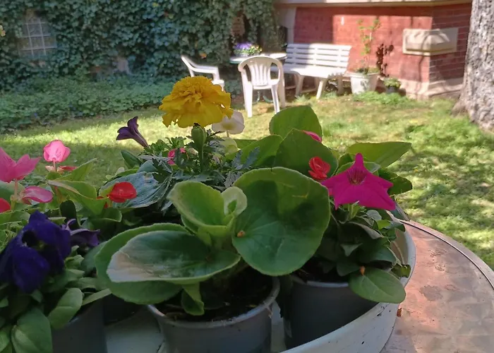 Die Kleine Oase