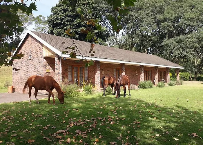 Chillifields Guesthouse