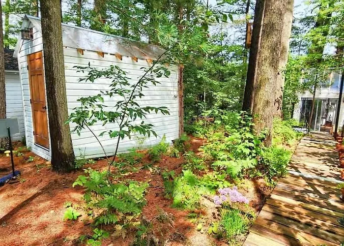 Stabbin Cabin #2 On Grant Island - Hot Tub, Boat, Pet Friendly