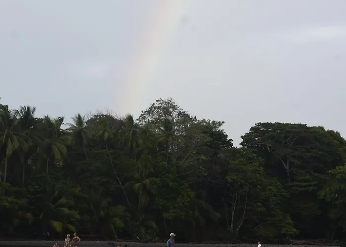 Coconut Lodge #2