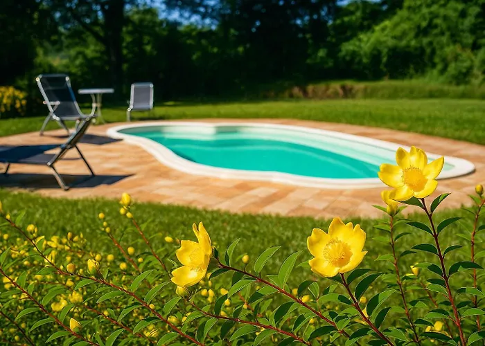 Casa Il Girasole Con Piscina Nelle Marche