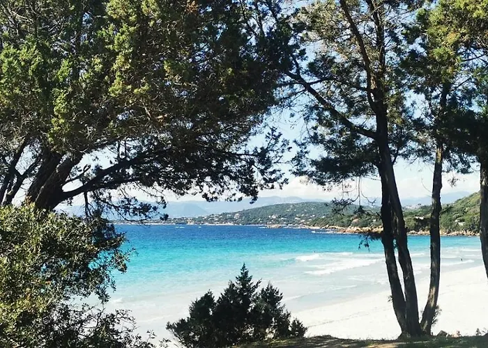 Studio Avec Terasse Vue Mer