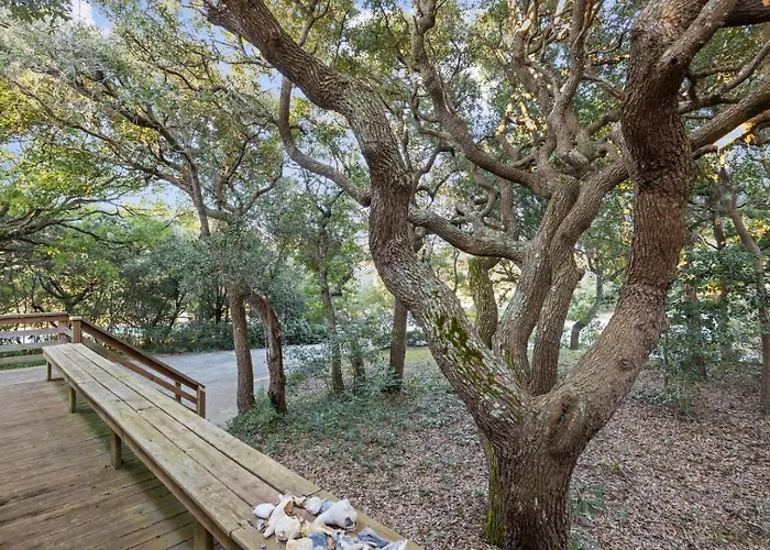 Dogwood Treehouse Home