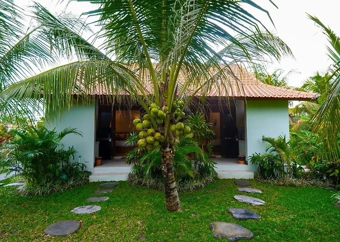 Green Coconut Cottage