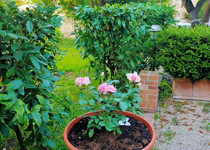 Il Giardino Di Athena