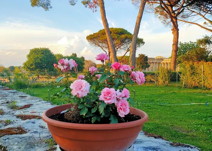 Il Giardino Di Athena 1