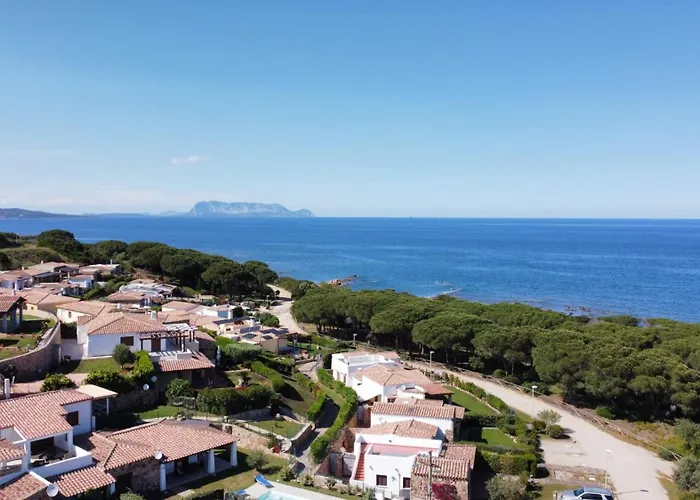 Le Pavoncelle